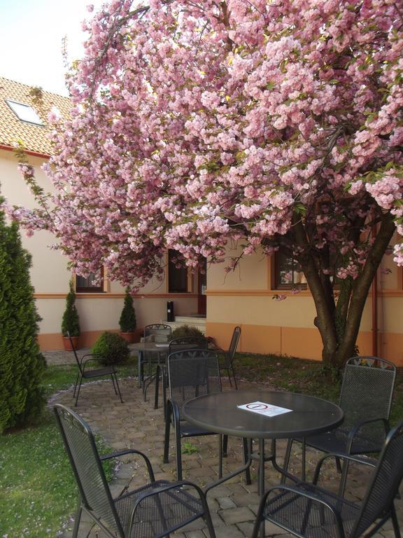 Pannon Hotel Bejelentkezes 20 Oraig, Check-In Until 20 O'Clock, Einchecken Bis 20 Uhr Mohács المظهر الخارجي الصورة